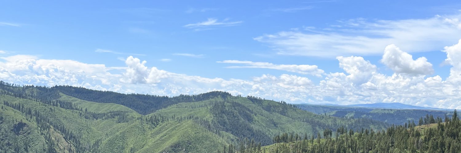 dylmid19's profile banner image
