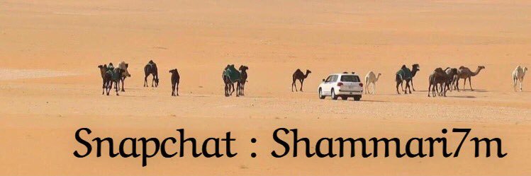 أبو نورة الضويلي banner