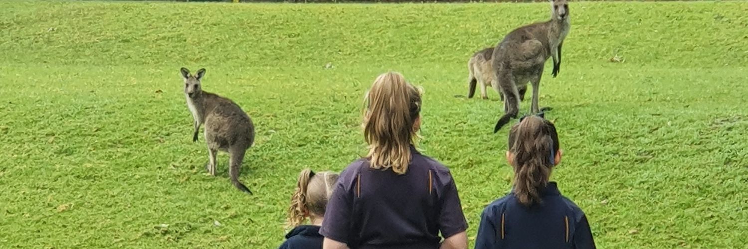 Kangaroo Valley Public School banner