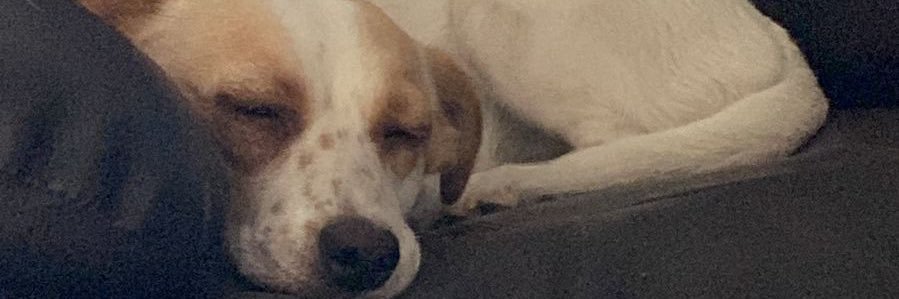 olasoydixon's profile banner image