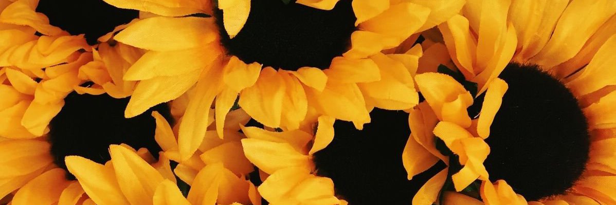 Queenie_727's profile banner image