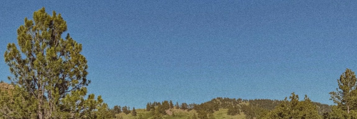 sav_sds's profile banner image
