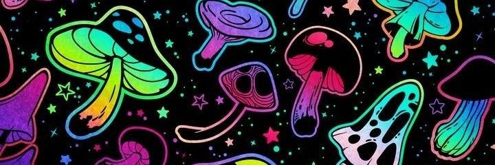 sjfv3's profile banner image