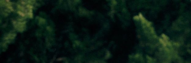 린 ೃ⁀➷ 7-1=0 banner