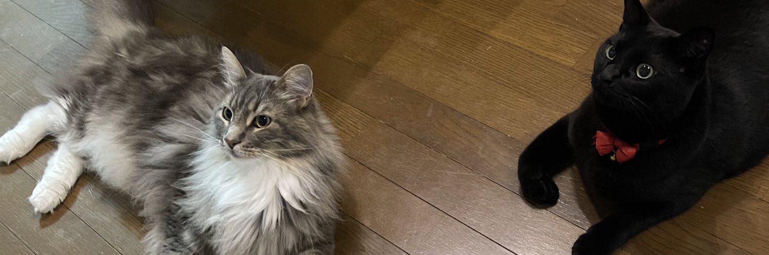 RoiSatomi's profile banner image