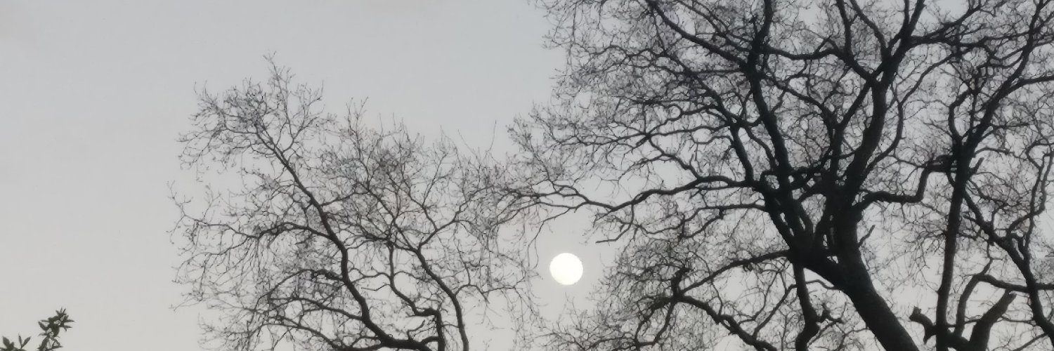 woodmans's profile banner image