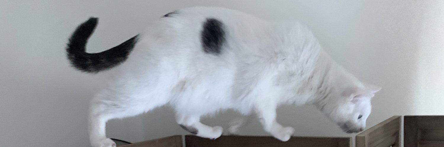 Michael Stafford banner