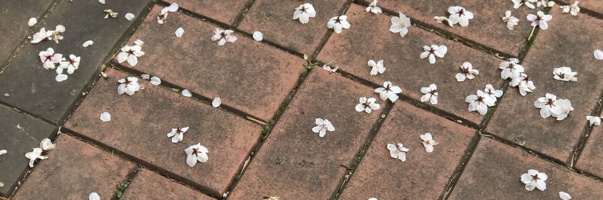 유♡🐈‍⬛ banner