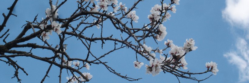 PacificGreenEco's profile banner image