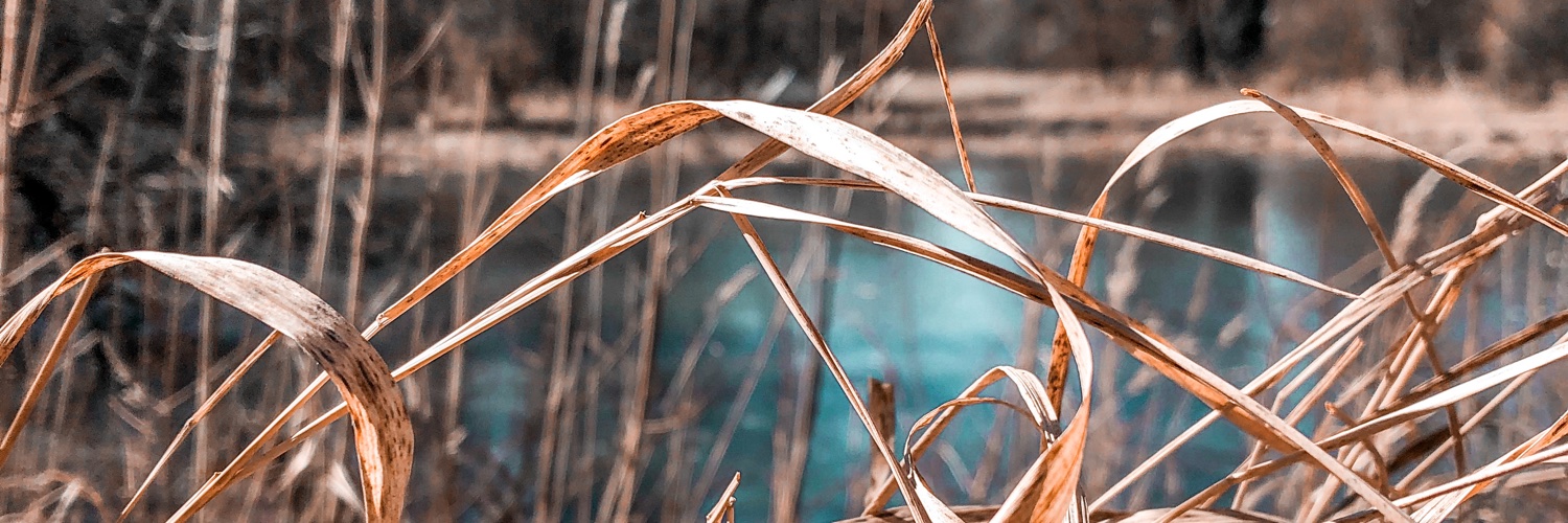 DomiTlap's profile banner image