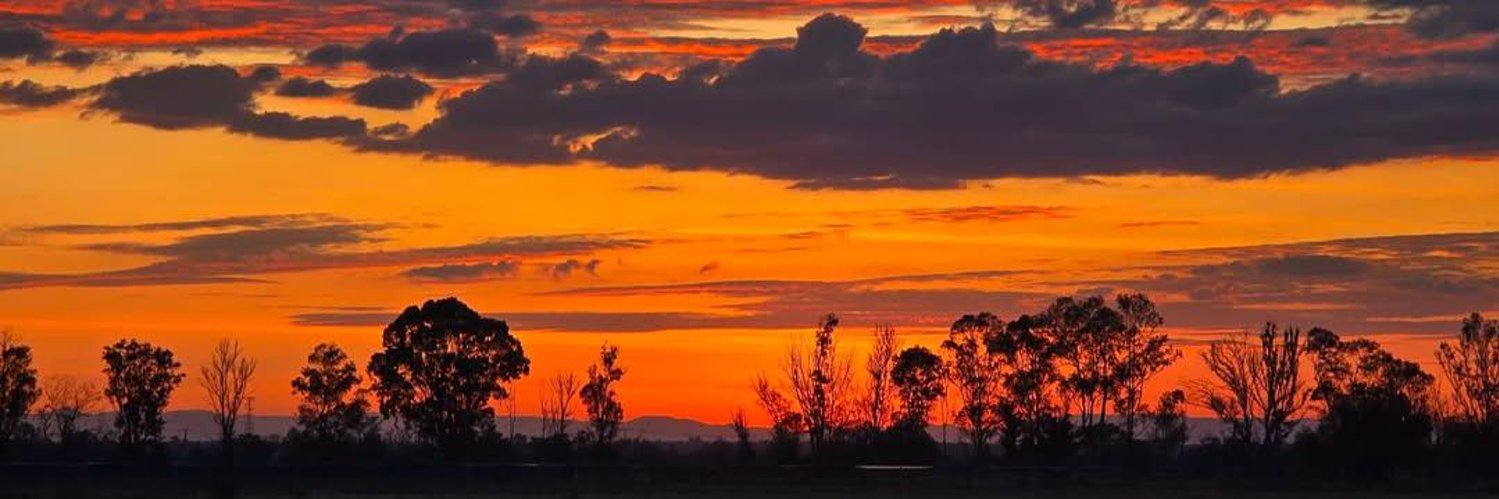 Little Finger banner