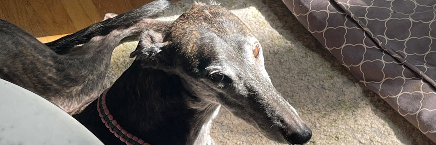 SikkRikk's profile banner image