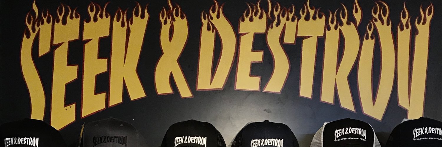 SEEK & DESTROY banner