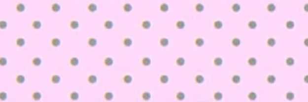 布讲栗猫 banner