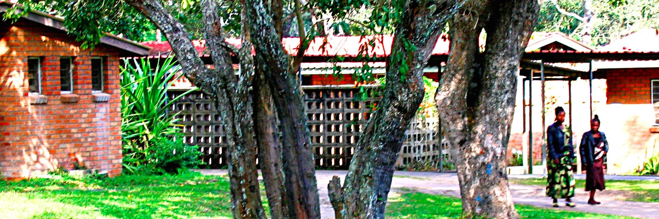 FlameTreeMalawi's profile banner image