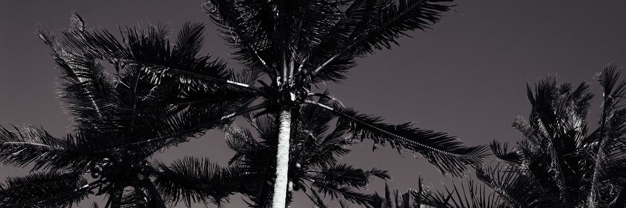 MarcpotatoMarc's profile banner image