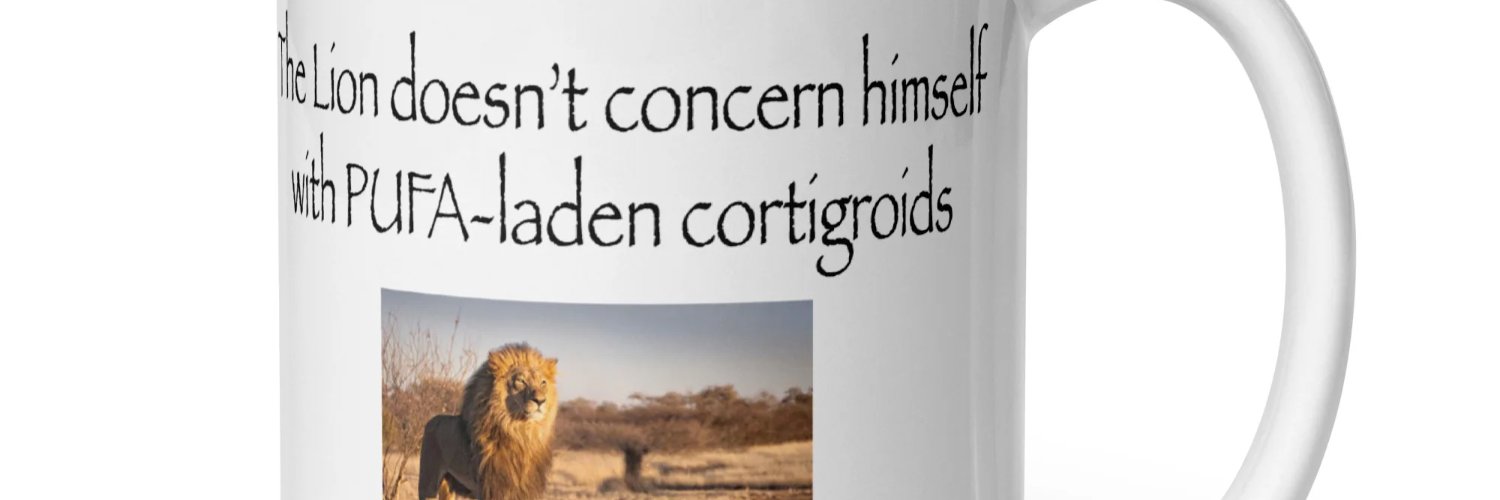 Pyrucet Soldier banner