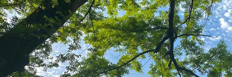 SelTran74's profile banner image
