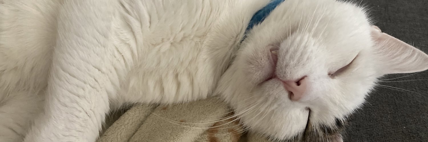 maddythomass_'s profile banner image