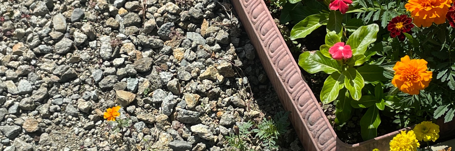 plasticnoa's profile banner image