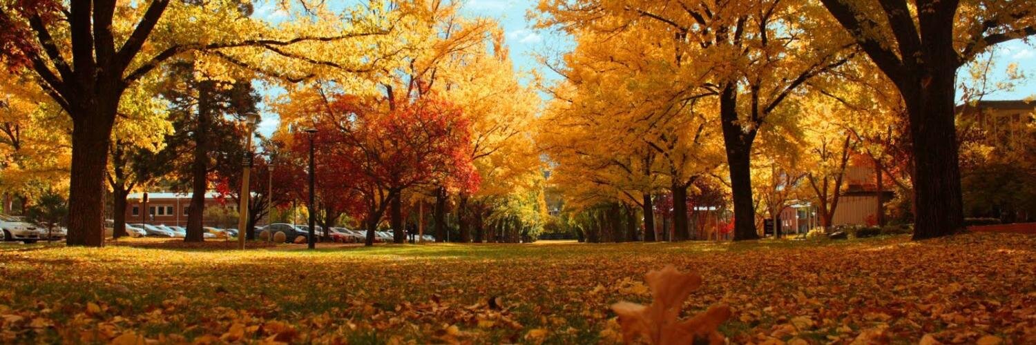 Dr Luke Mansillo banner