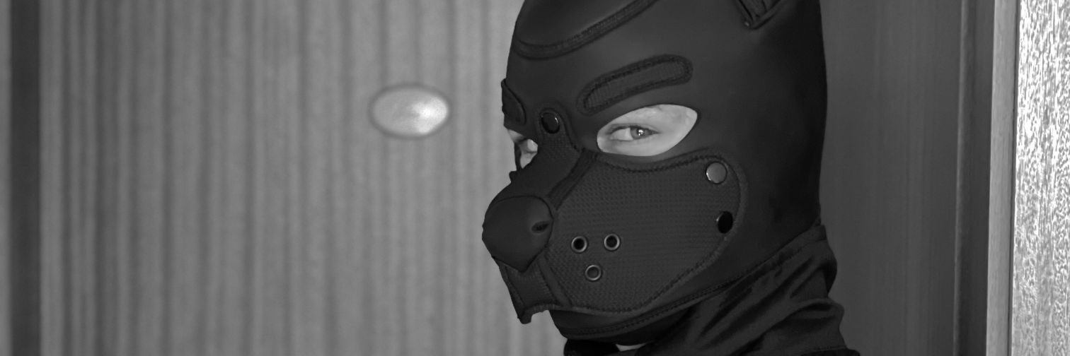 Pup Flake 🔜 Darklands banner