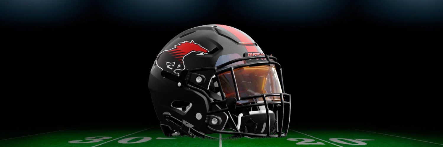 Shallowater Football's banner