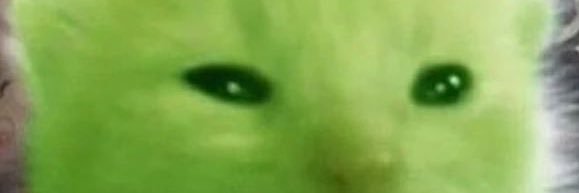 oceanomaluco's profile banner image