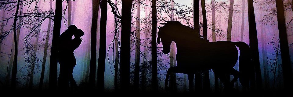 Wildfee banner