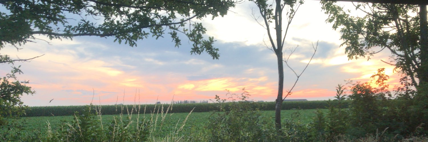 Dannykoppen's profile banner image