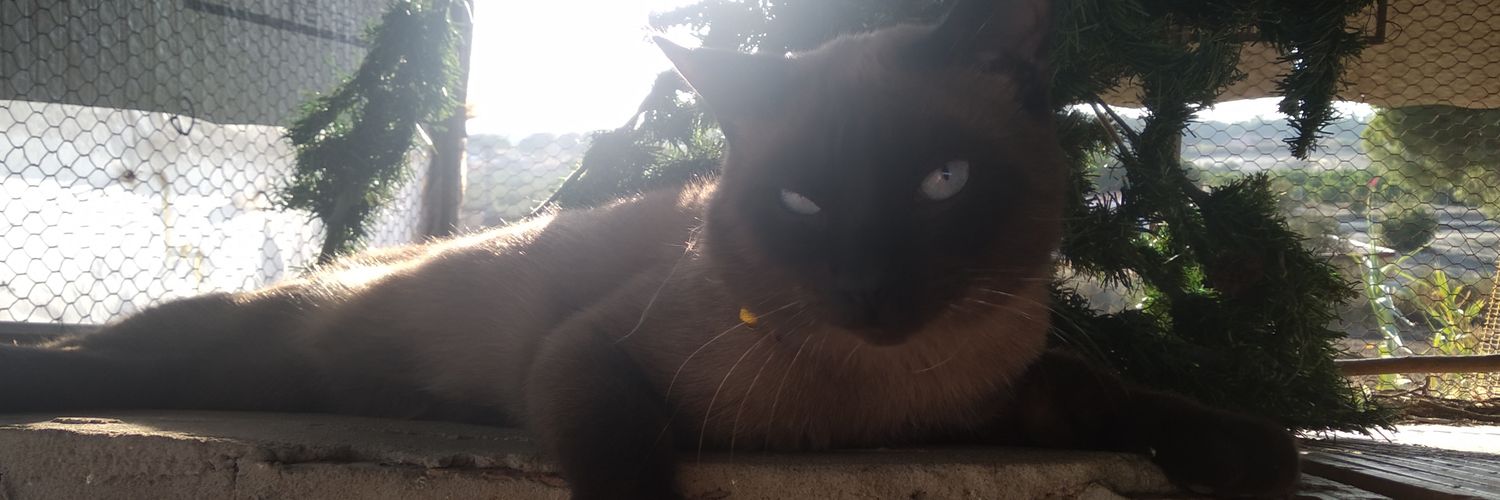 PeKee7830's profile banner image