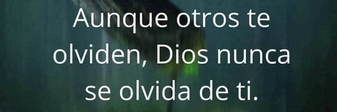 Pancho Moncho Perez banner