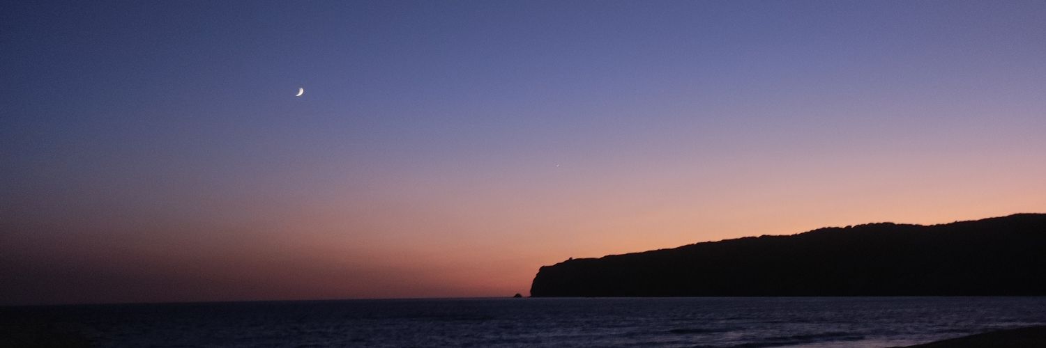 lauraa banner