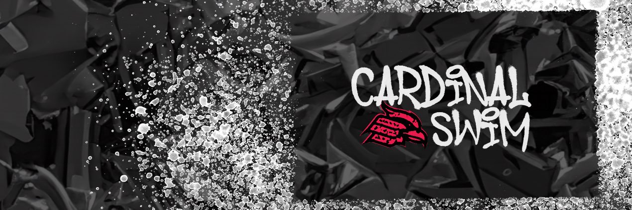 Wheeling University Swimming banner