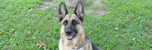 buckobilly1 Profile Banner