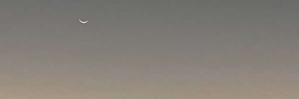 trippyrules Profile Banner