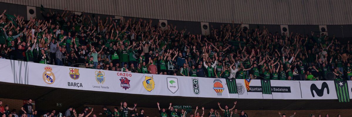 David Ruescas Acedo banner