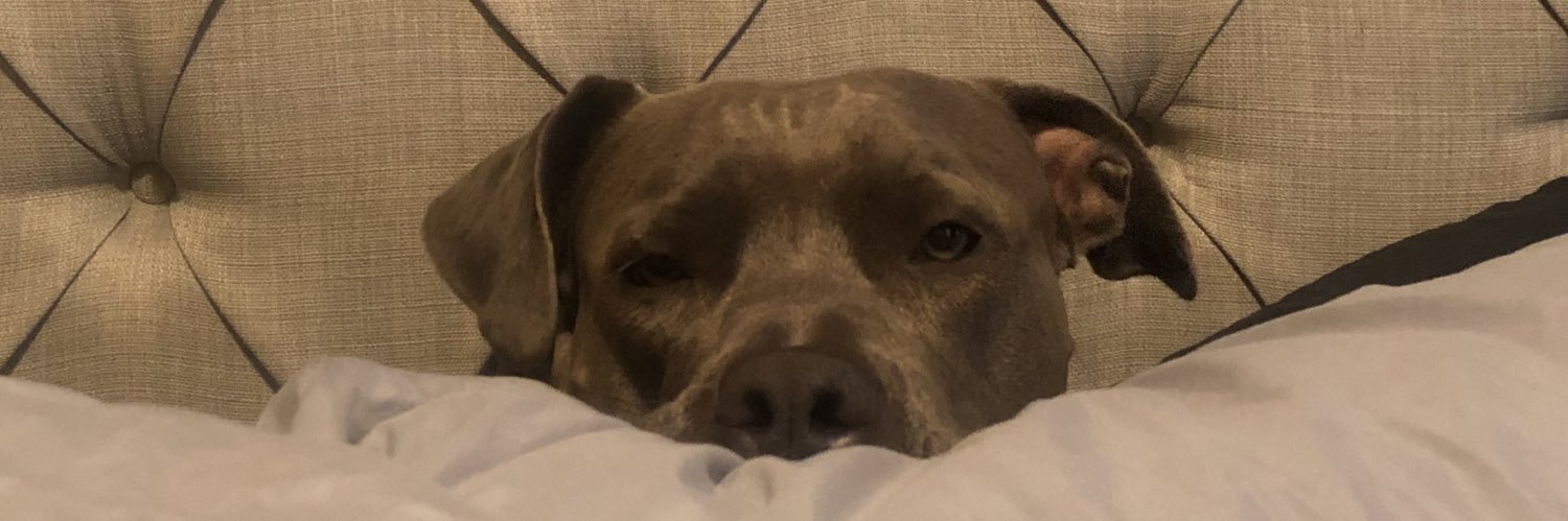 Miss Casey Carter banner