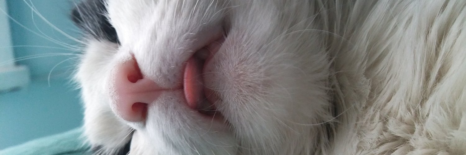 Gonzalo Asencio banner