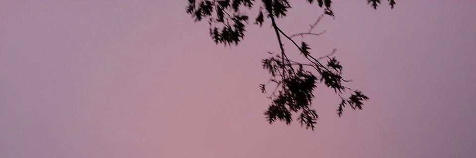 IronTrickGaming's profile banner image