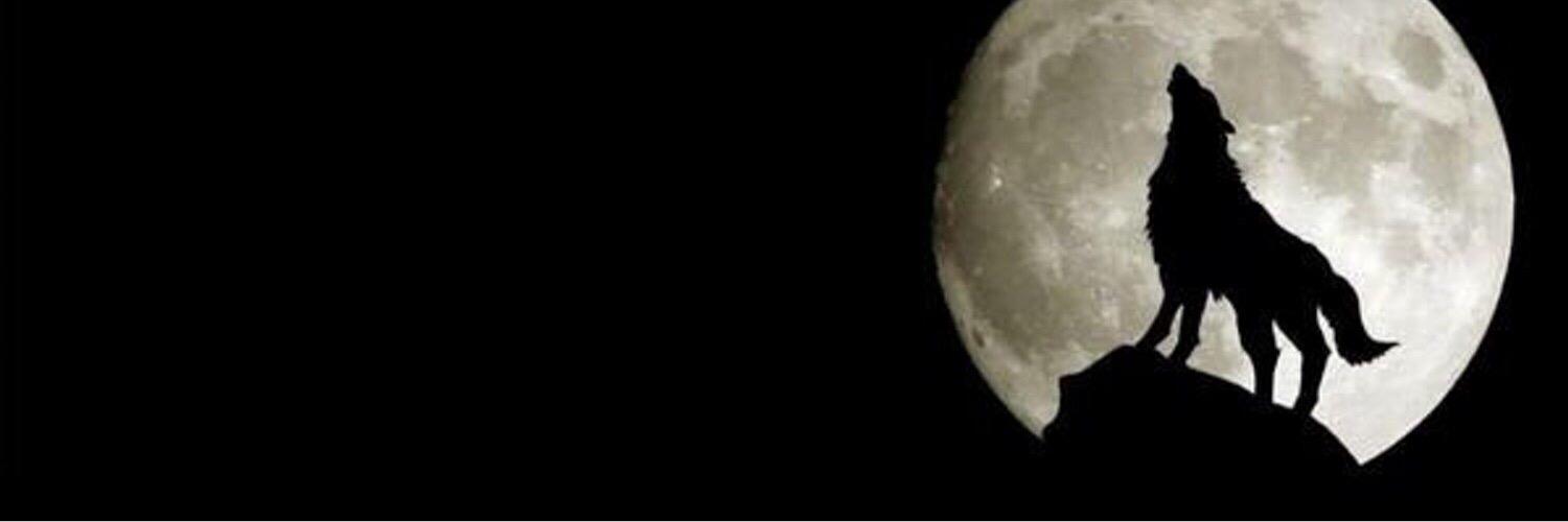 1Bigtym's profile banner image