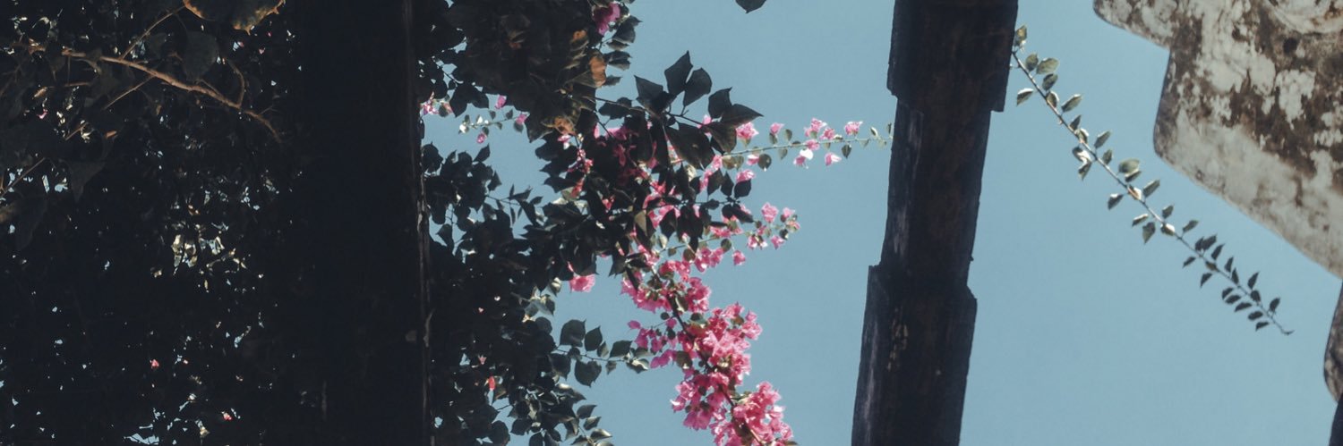 DeniseGail09's profile banner image