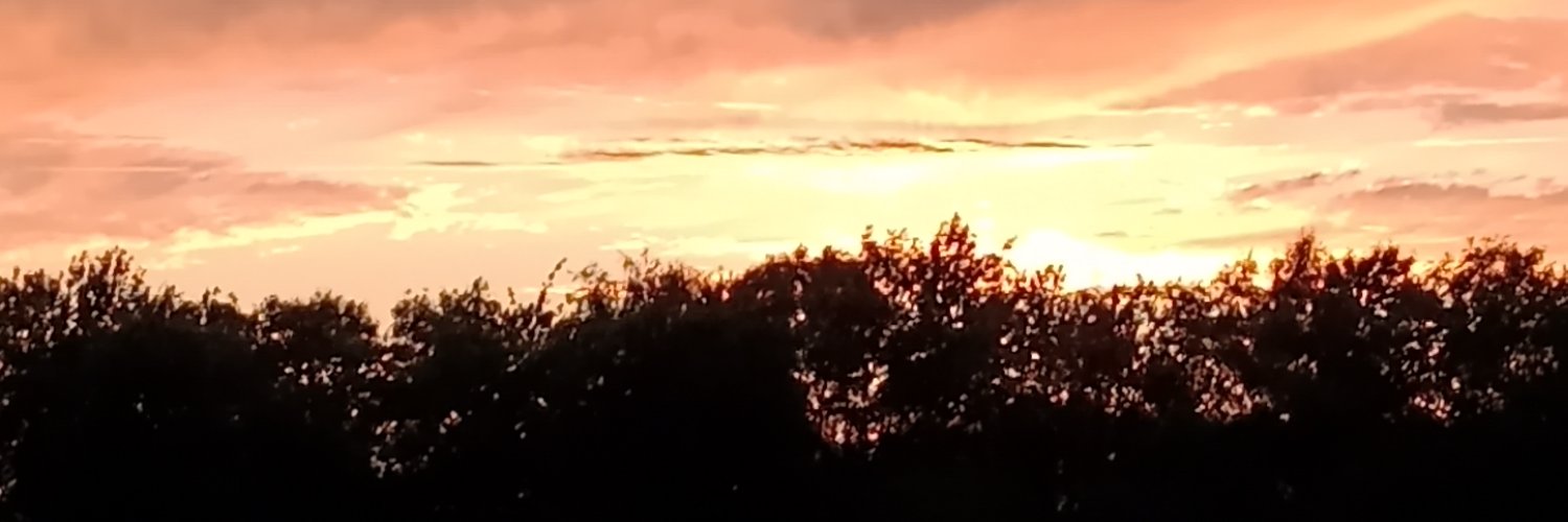 Srltt3's profile banner image