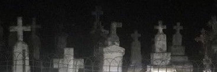 Layn banner
