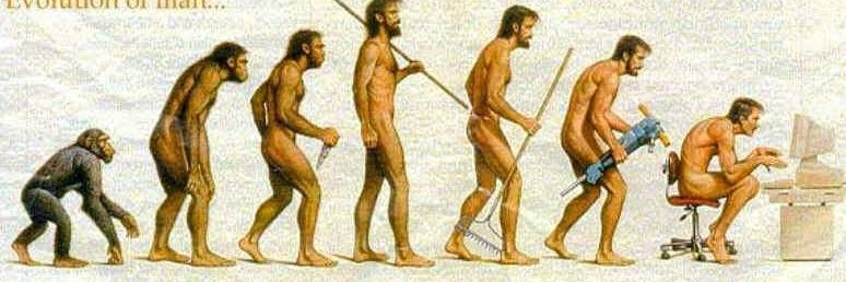 Martin Bauflert banner