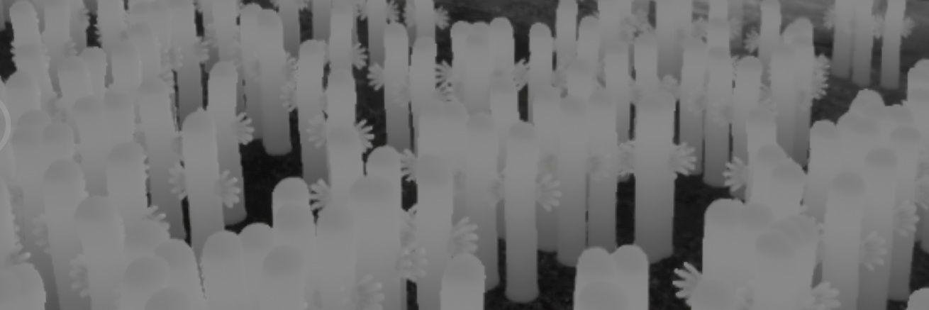 teresiaterumin's profile banner image