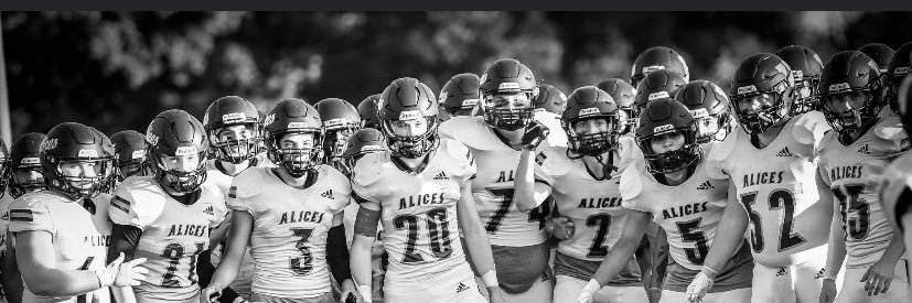 Alices Barstool banner