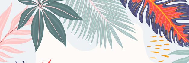Diamant_Colore's profile banner image