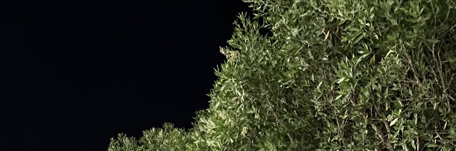 yi99yi's profile banner image