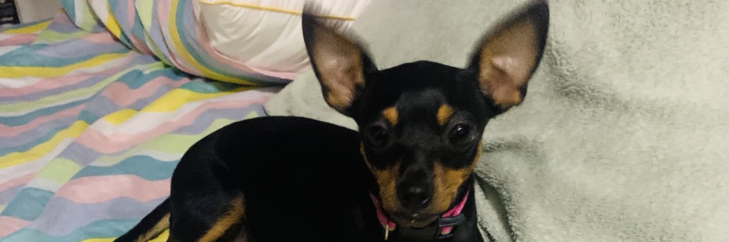 mienaaaaaa's profile banner image